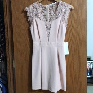 Lacey rose colored BCBG dress.